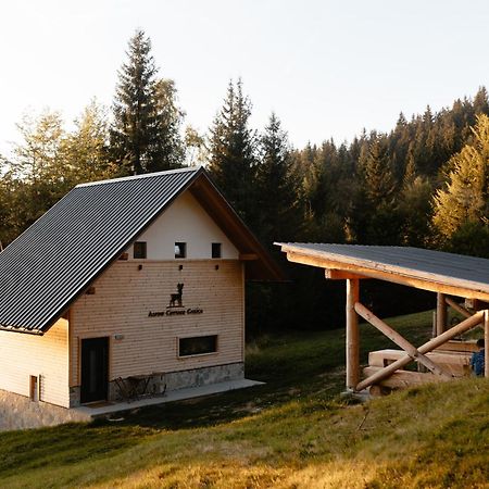Alpine Cottage Golica Jesenice Bagian luar foto