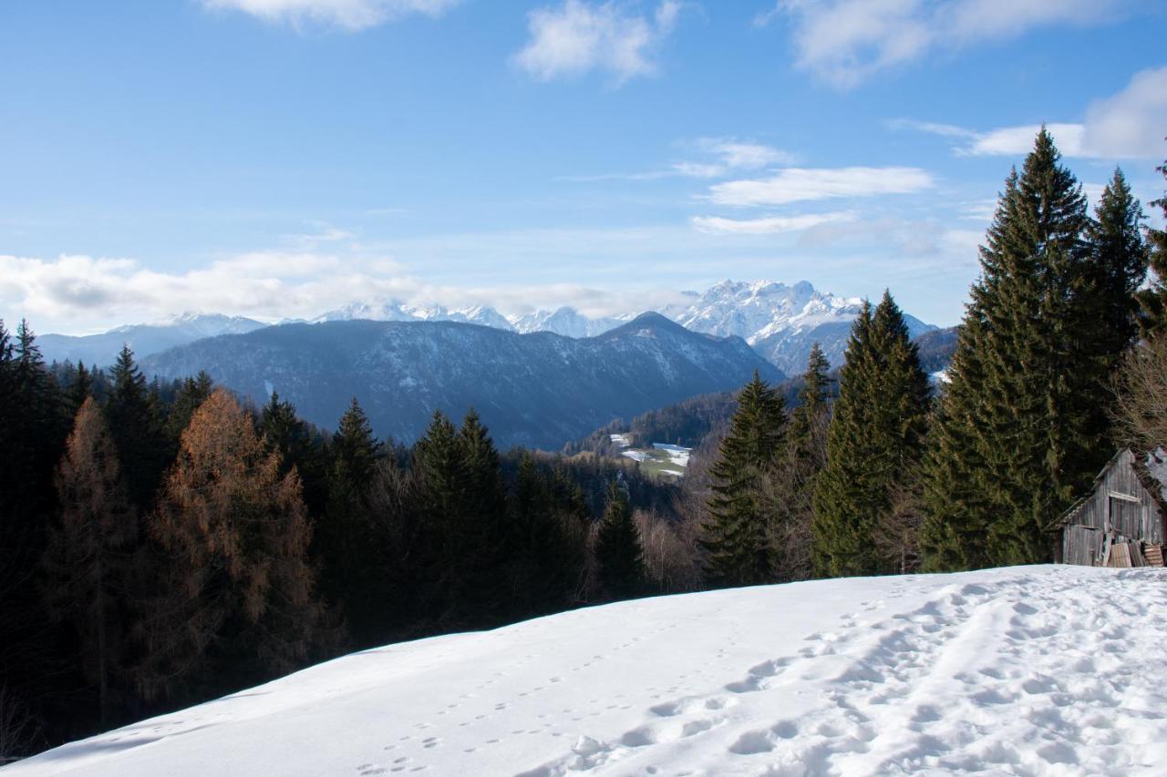 Alpine Cottage Golica Jesenice Bagian luar foto