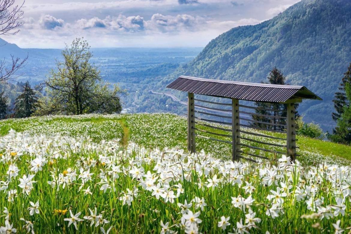 Alpine Cottage Golica Jesenice Bagian luar foto